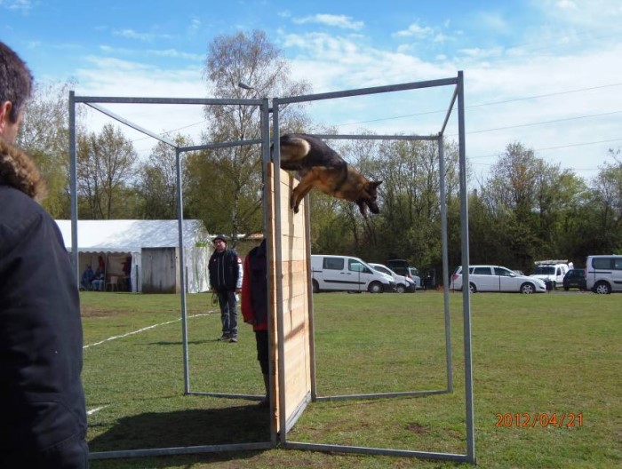 canin montceau 2604134