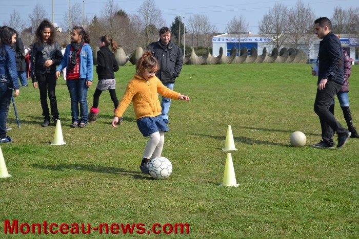 chasse oeufs 01041314
