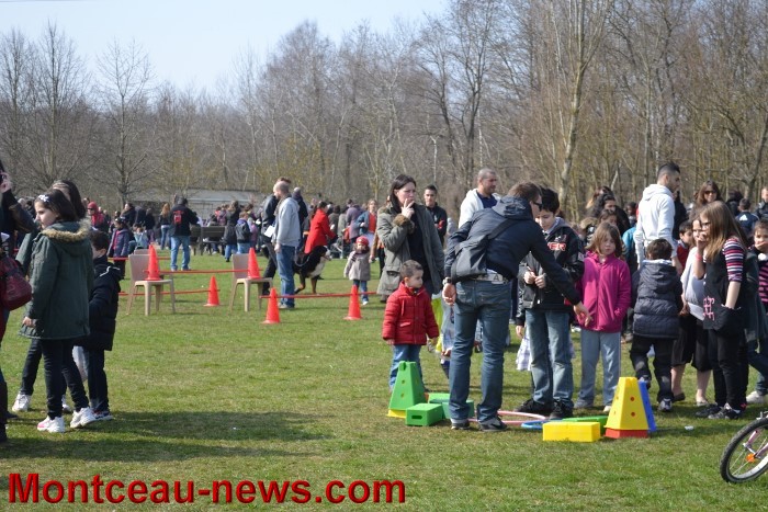 chasse oeufs 0104133