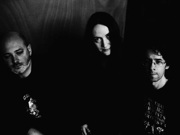 concert coquillage 1104134