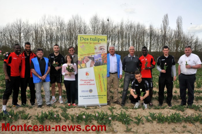 fcmb tulipes 1704134