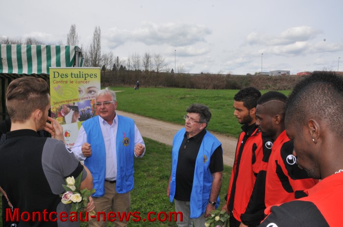 fcmb tulipes 1704139