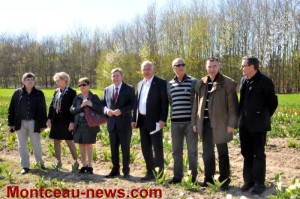 « Tulipes contre le cancer » (Montceau-les-Mines)