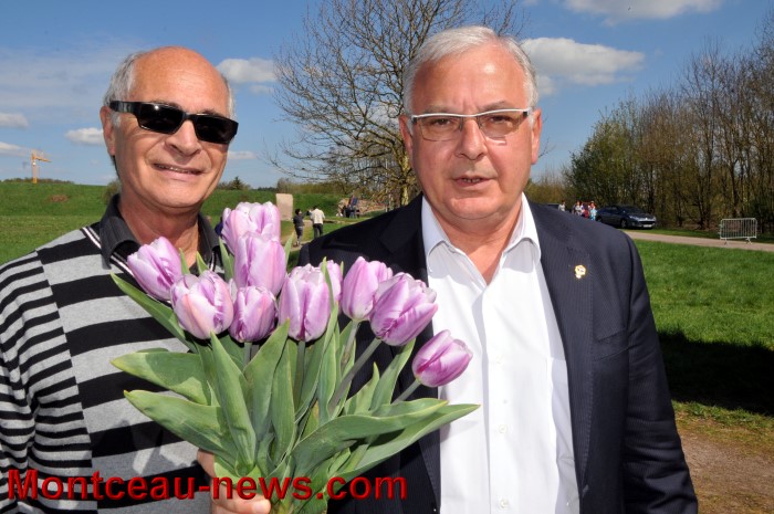 inno tulipes 2504137