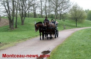 « Tulipes contre le cancer » (Montceau-les-Mines)