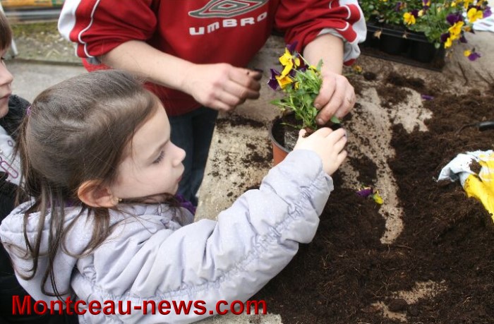 serres montceau 04041311