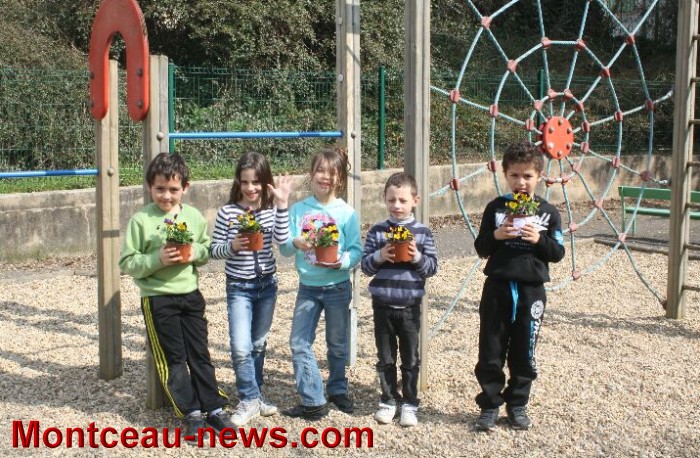 serres montceau 04041312