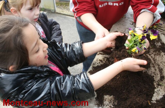 serres montceau 04041314