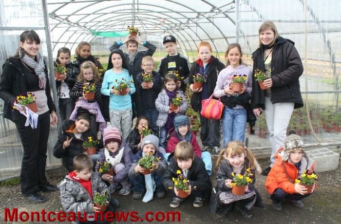 serres montceau 04041316