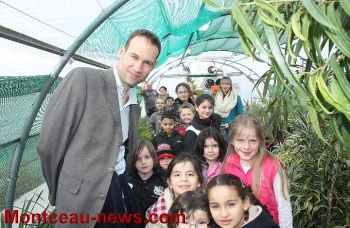 serres montceau 04041317