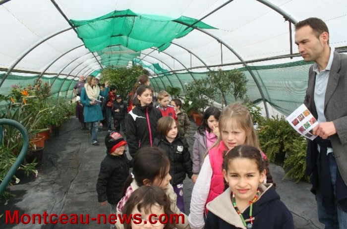 serres montceau 04041318