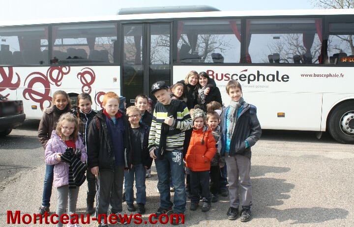 serres montceau 0404134