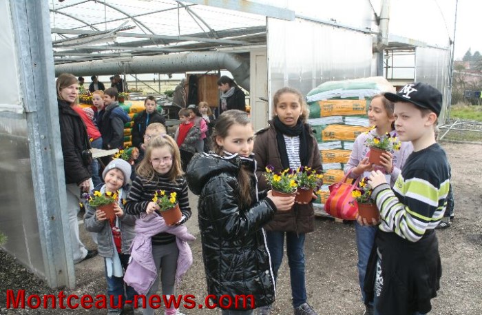 serres montceau 0404136