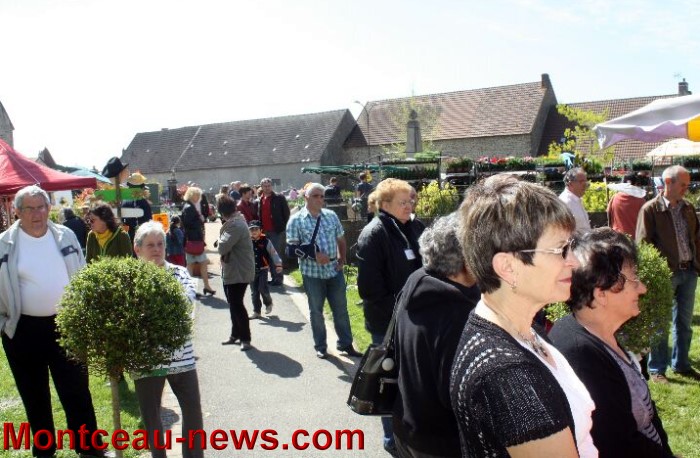 MARIGNY MARCHE FLEURS 06051320