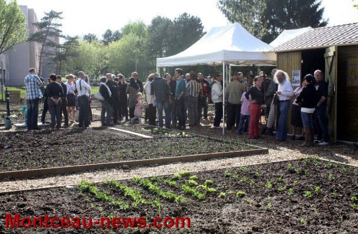 jardin partagee 0305132