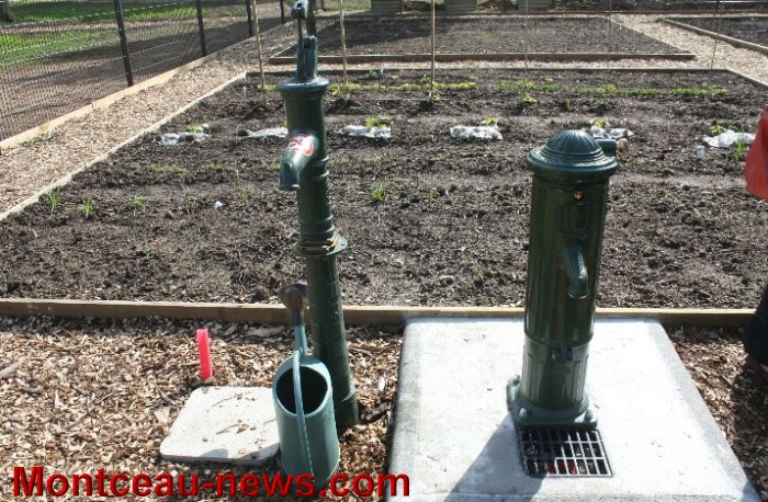 jardin partagee 0305134