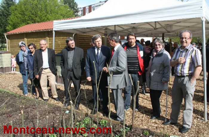 jardin partagee 0305135