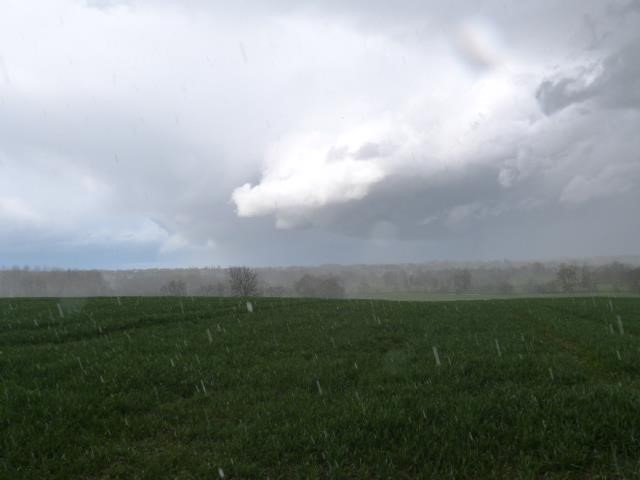 meteo 2505134