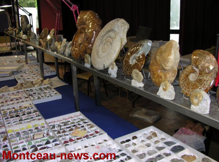 mineraux 10051310