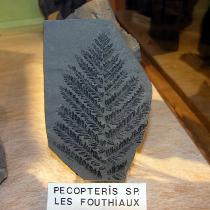 mineraux 10051318