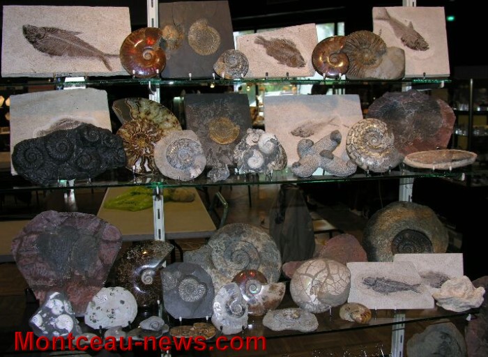mineraux 1005136