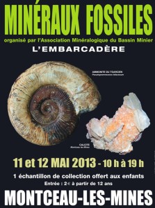 Association minéralogique du Bassin minier