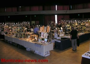 Bourse aux minéraux (Montceau-les-Mines)