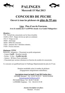 Gaule Palingeoise (Palinges)