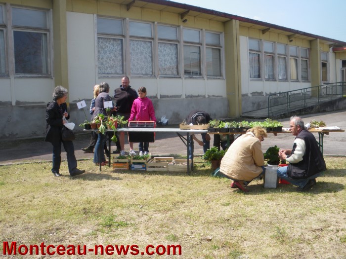 troc plantes mont 05051310
