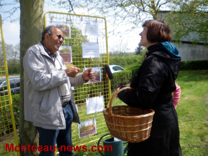 troc plantes mont 05051311