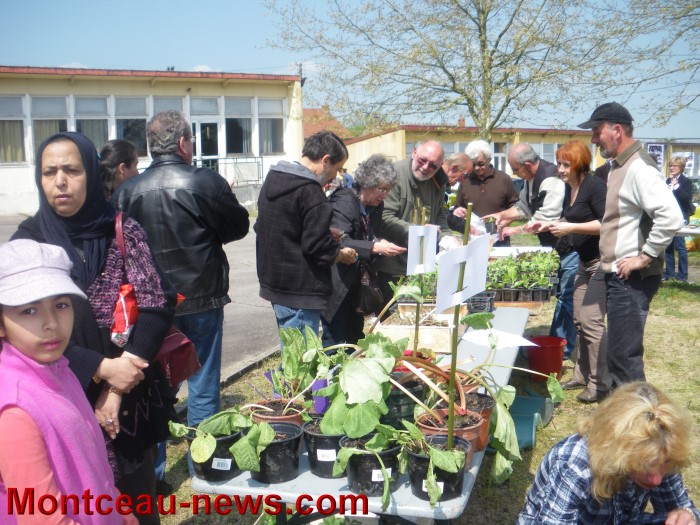 troc plantes mont 05051312