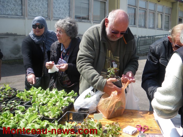 troc plantes mont 05051313