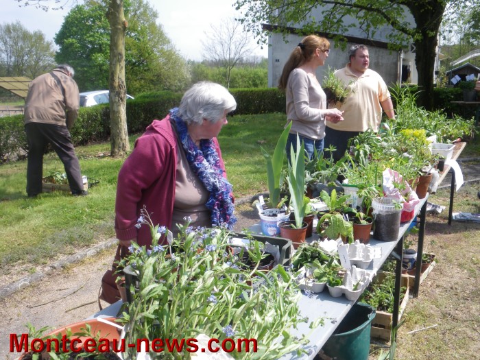 troc plantes mont 05051315