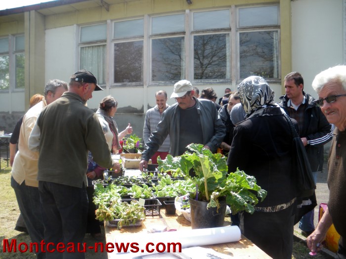troc plantes mont 0505134