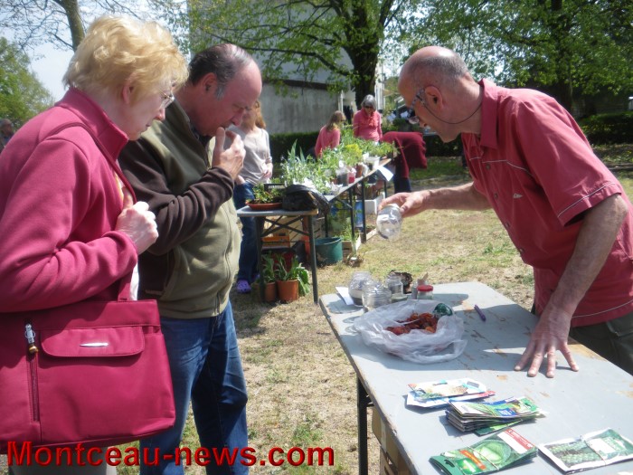 troc plantes mont 0505135
