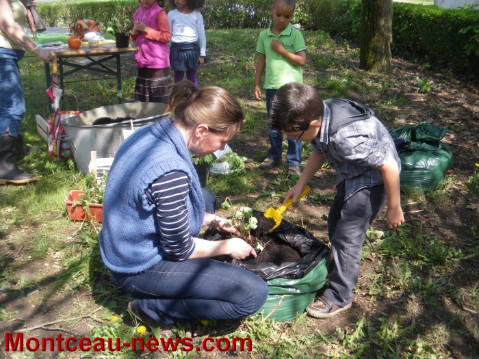 troc plantes mont 0505137