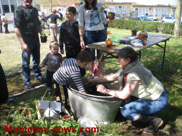 troc plantes mont 0505138