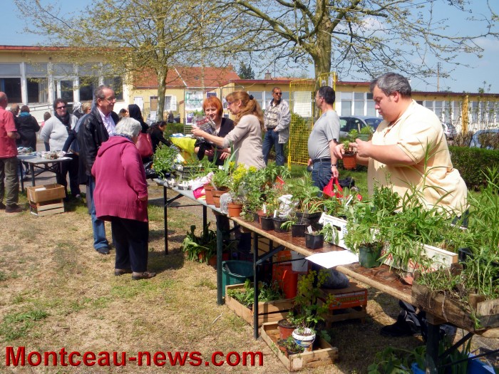 troc plantes mont 0505139