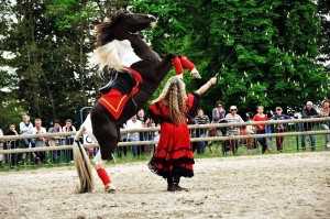 Fête du Cheval (Les Bizots)