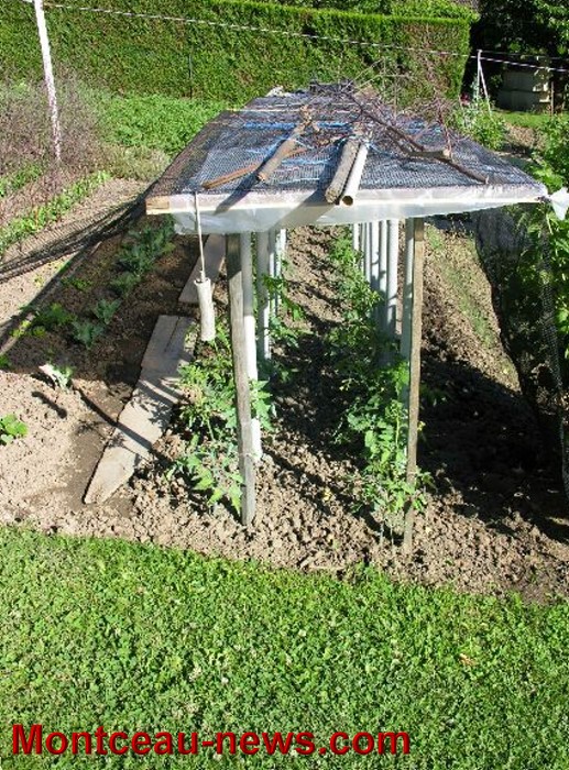 jardin 2106134