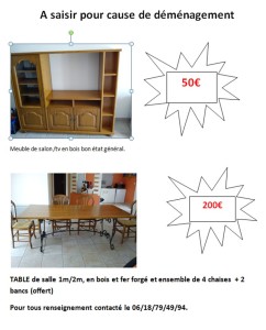 A saisir pour cause de déménagement