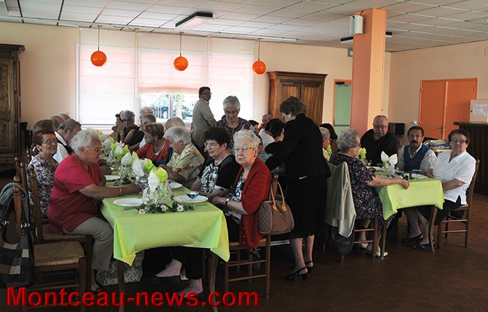 peupliers 1006132