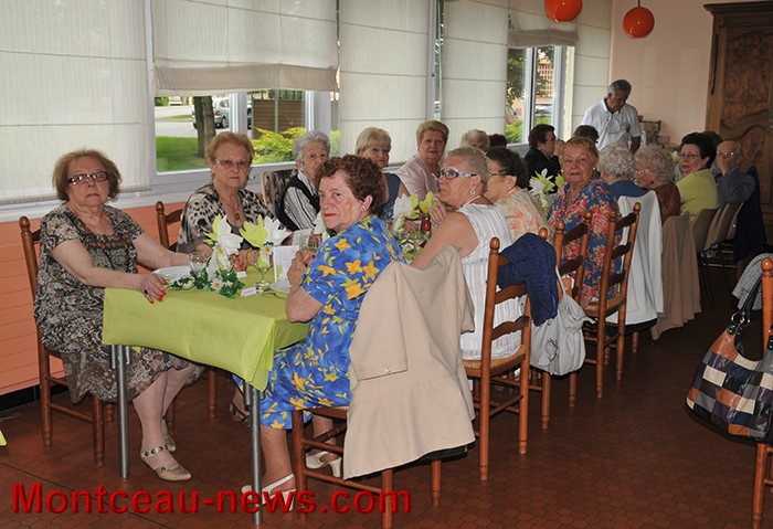 peupliers 1006133