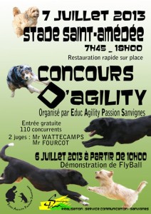 Club Canin « Educ Agility Passion Sanvignes »