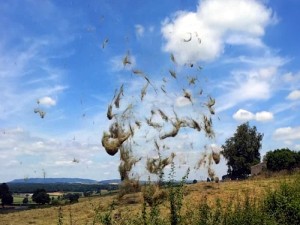 Phénomène climatique à Sanvignes