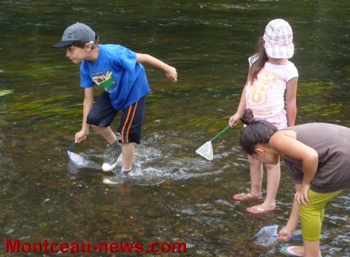 blanzy espace 2208135