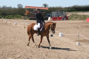 Centre Equestre du Chêne Vert (Saint-Eusèbe)