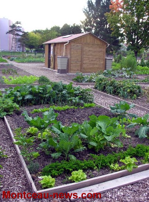 jardin partagee 2609134