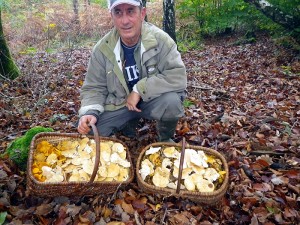 Bassin minier