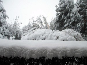 Photos de neige